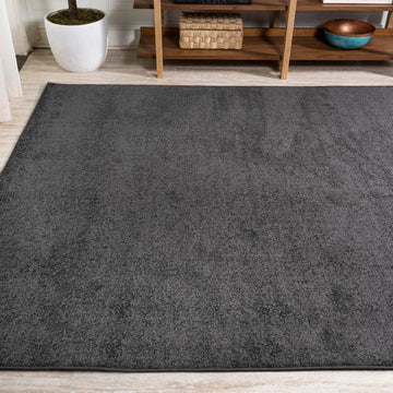 Haze Solid Low-pile Area Rug Black